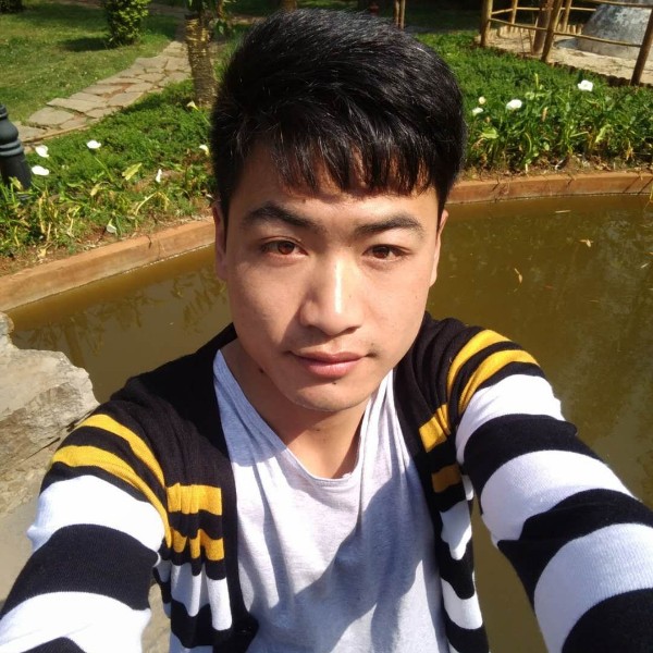 追逐……的照片