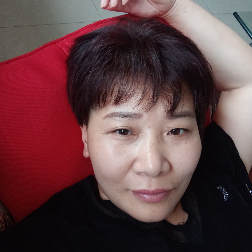 刺猬整齐的照片