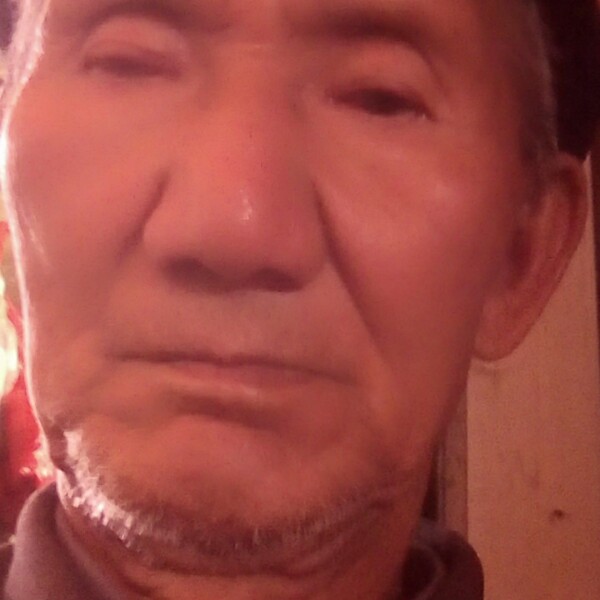 电灯胆现实的照片