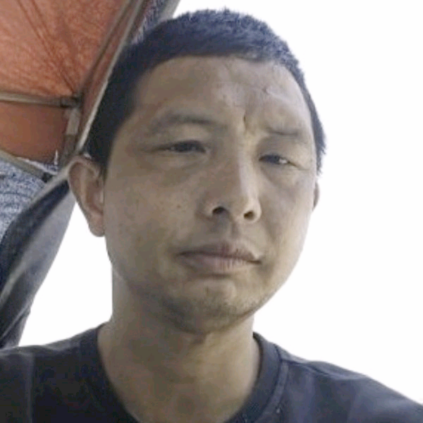 自行车多么朴素的照片