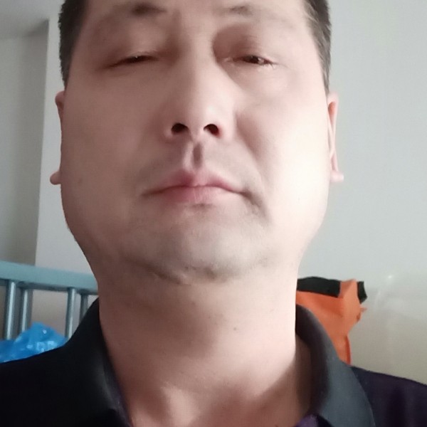 笨蛋5的照片
