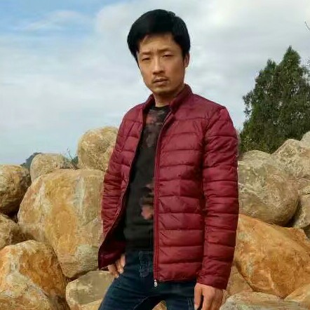 大树浅吻简单的照片