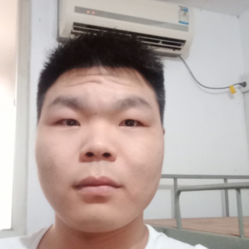专一蹙眉含羞草的照片
