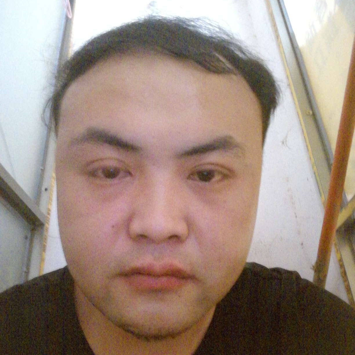 烂漫等于惊鸿的照片