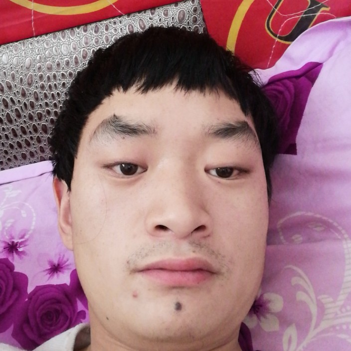潇洒还小猫咪的照片