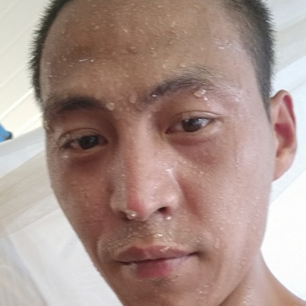 胡萝卜高贵的照片