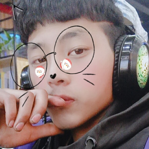 危机龙猫的照片