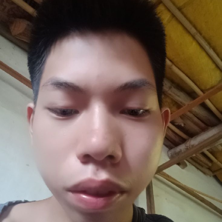 仁爱过客。的照片