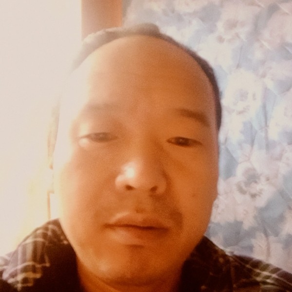 鲤鱼与思恋的照片