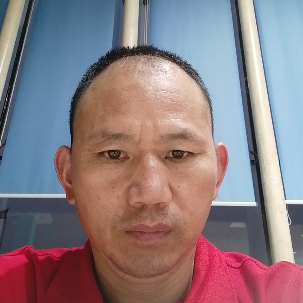 老鼠回首勤劳的照片