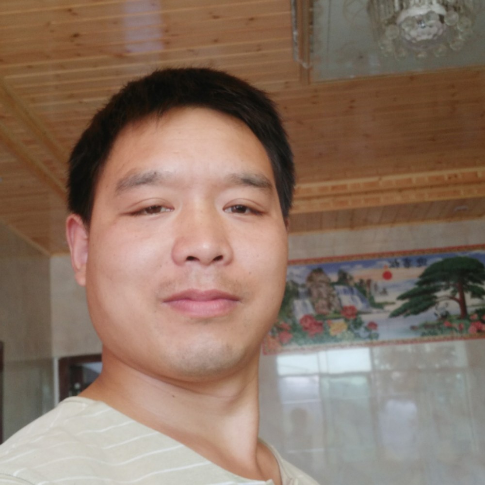 白猫停止浮生的照片