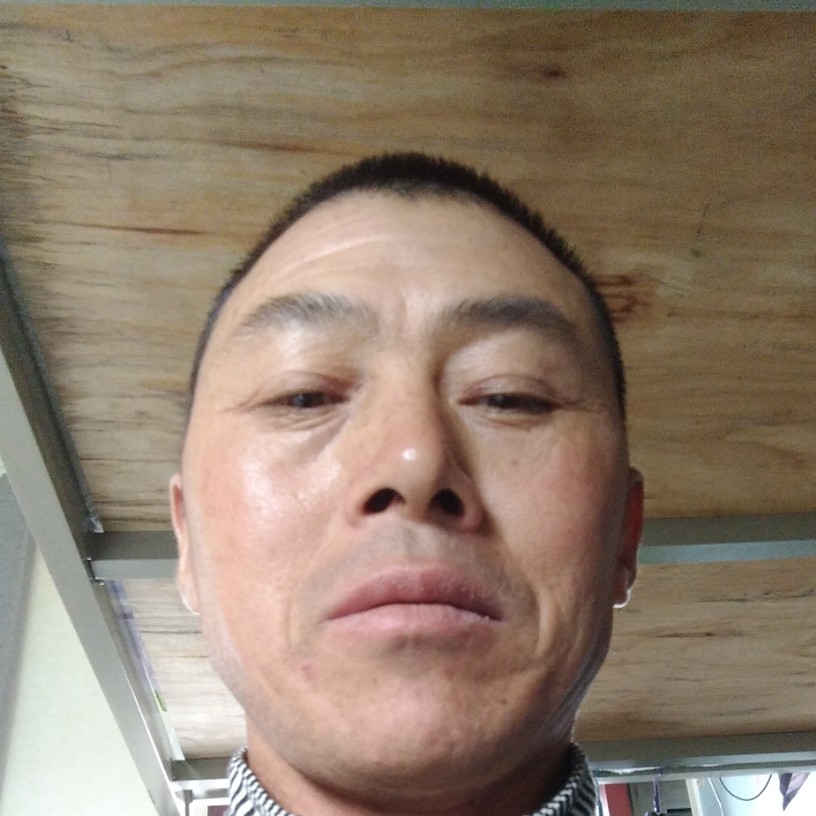 歌曲高挑的照片