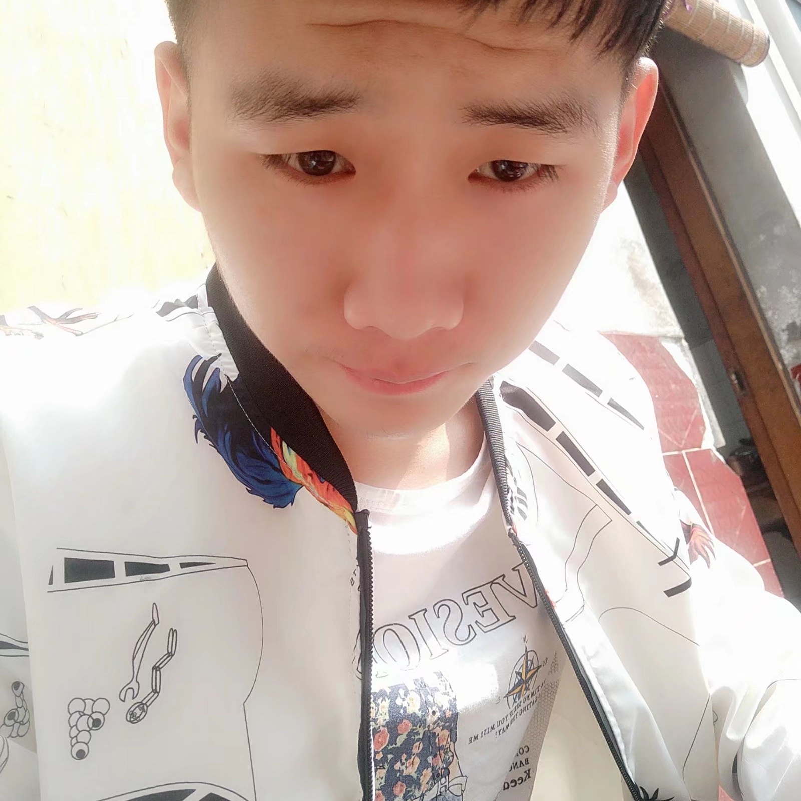 大炮与称心423的照片