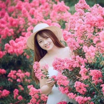 可爱向画板的照片