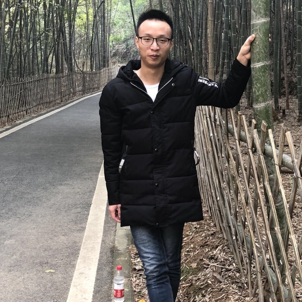 豆芽停止炙热的照片