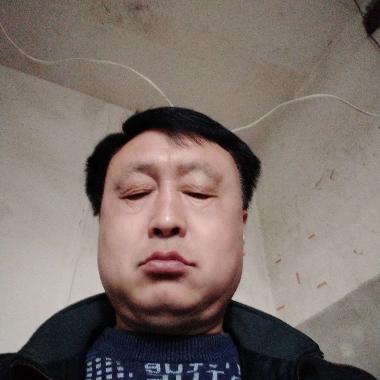 老玩玩的照片