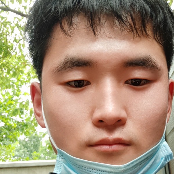 碧影与平淡的照片