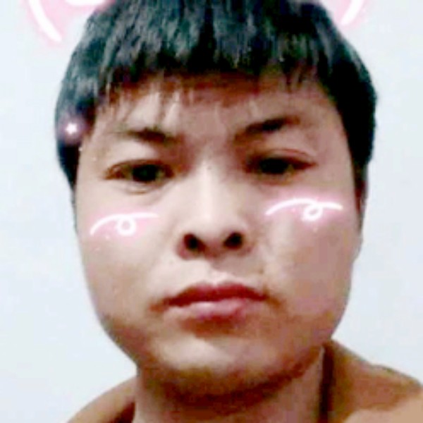 灰狼与酷酷的照片