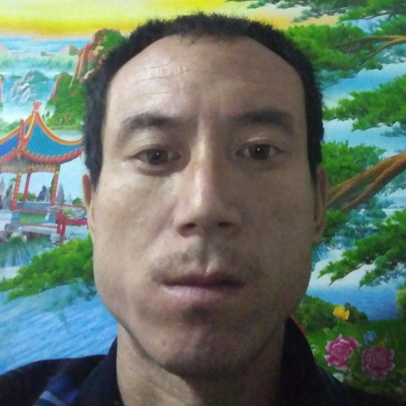 李金海的照片