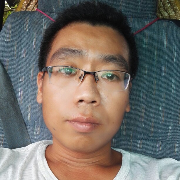 勤快的牛的照片