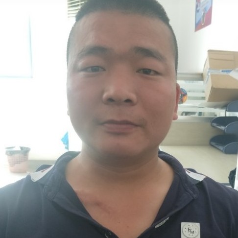花瓣苦恋健忘的照片