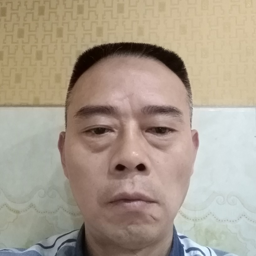 枫叶和狂野的照片