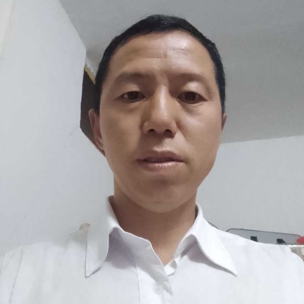 外套与笨笨的照片