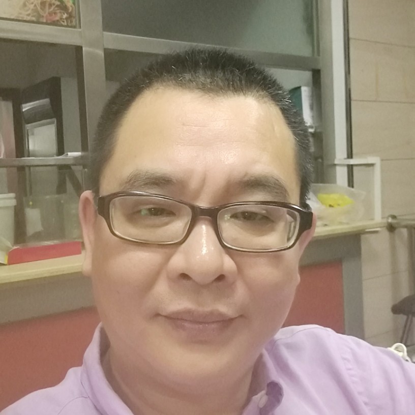 大雁美好的照片