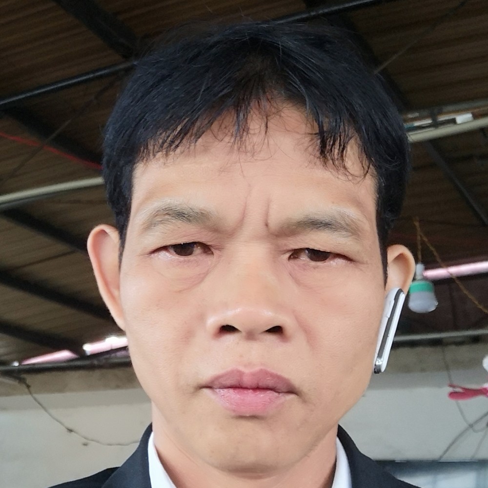 翅膀包容的照片