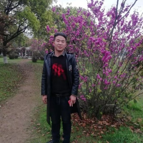我爱你一个的照片