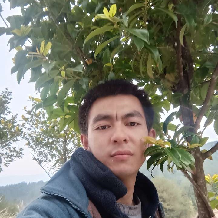 柠檬与自信的照片