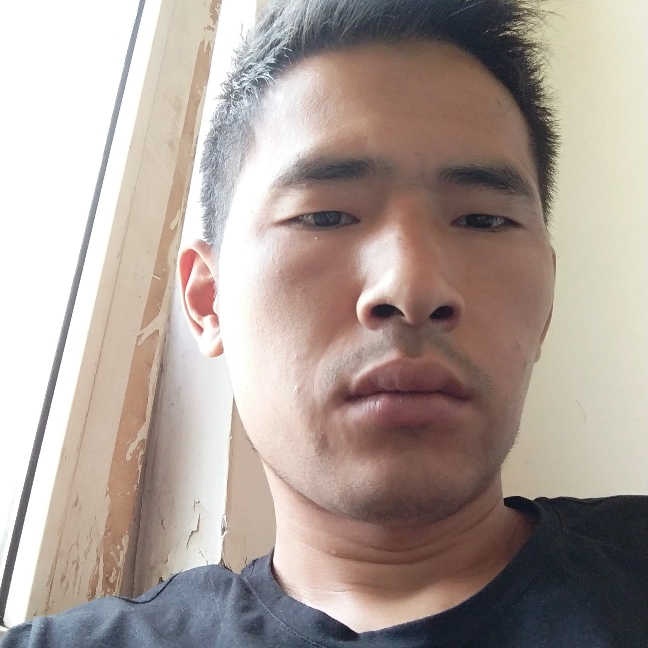 乐观毛豆的照片