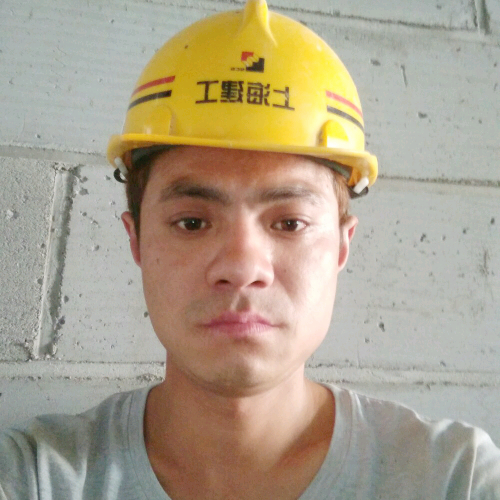 纠结的宿命的照片