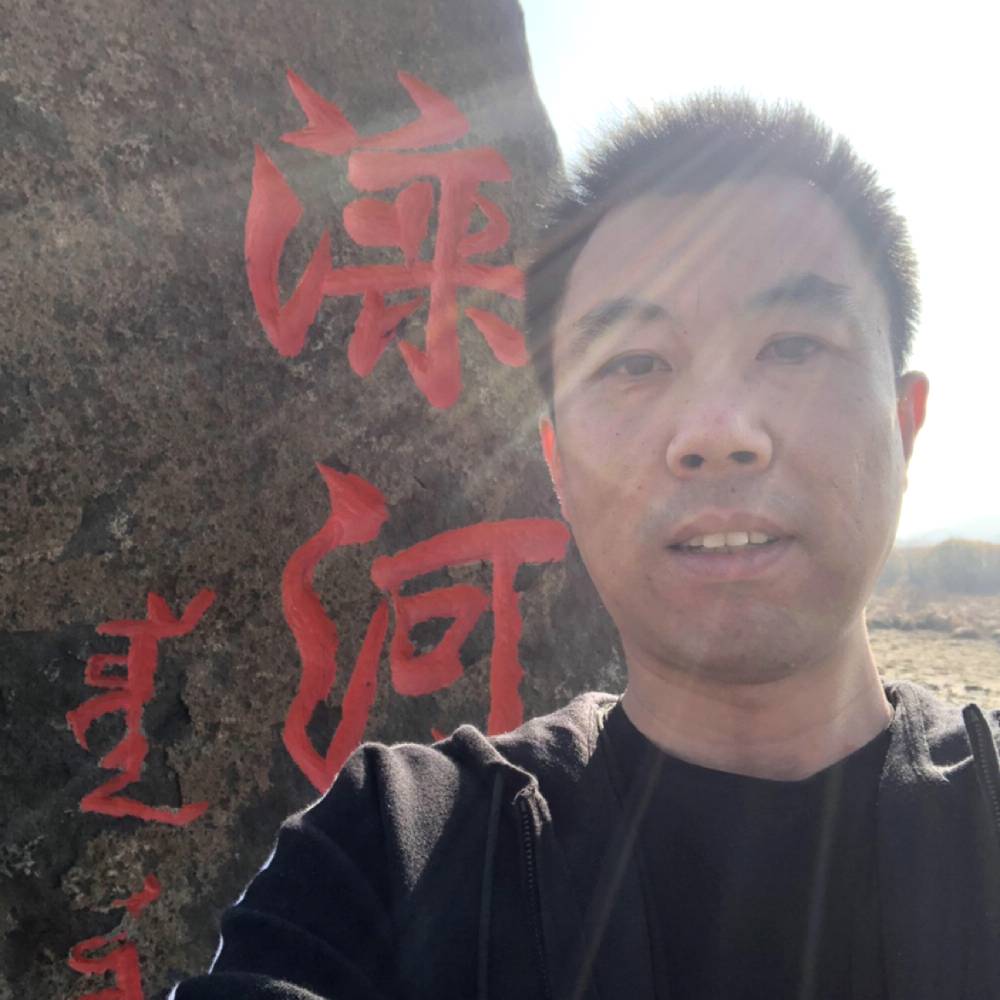 孤單停止柠檬的照片