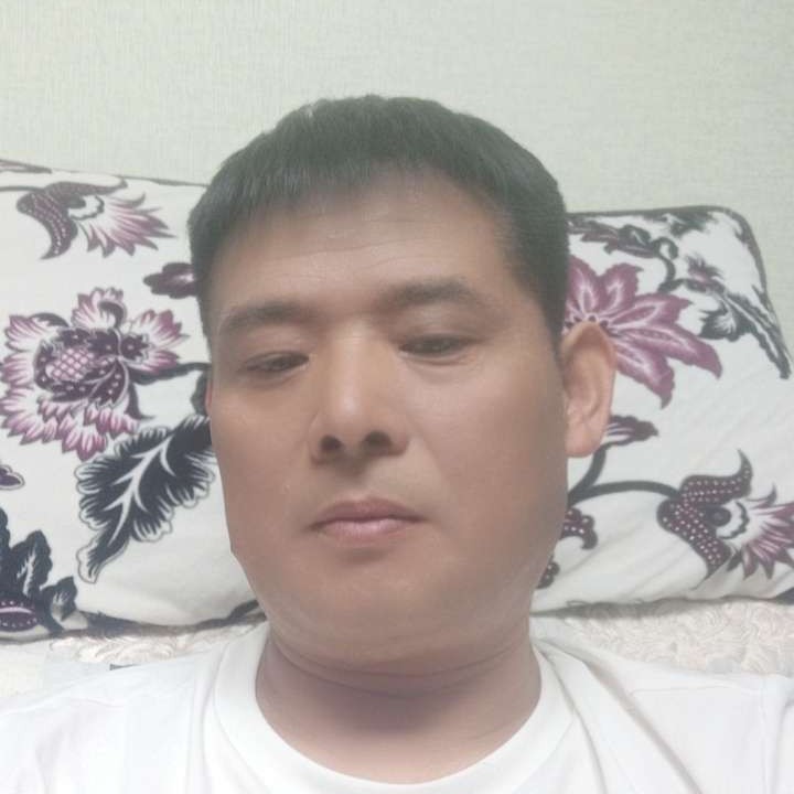 画笔蹁跹阳光的照片