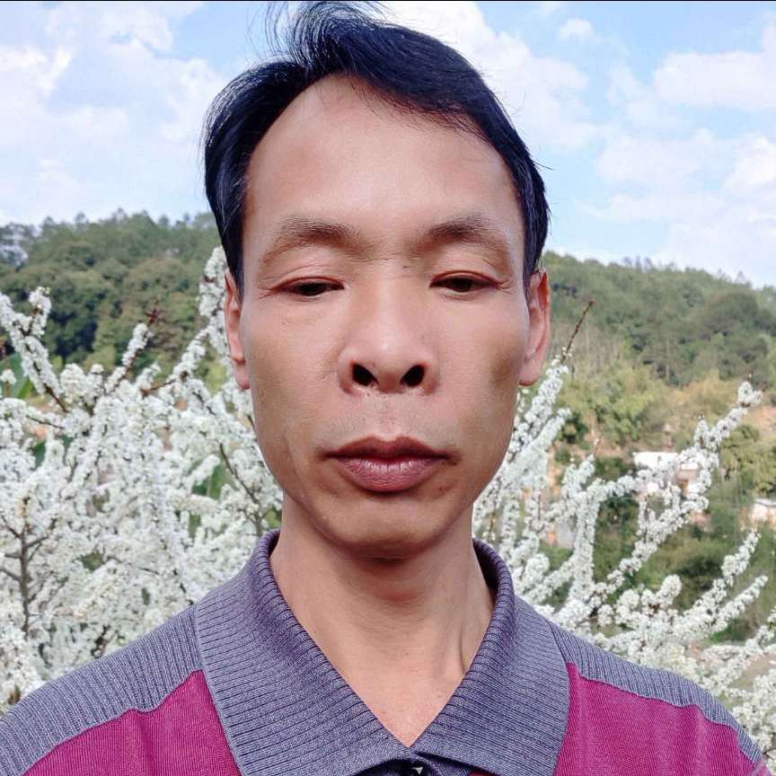 誓去的青春的照片