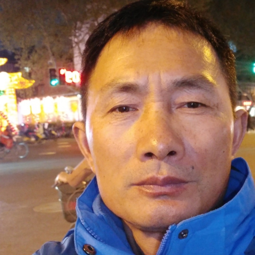 康乃馨爱恋标致的照片