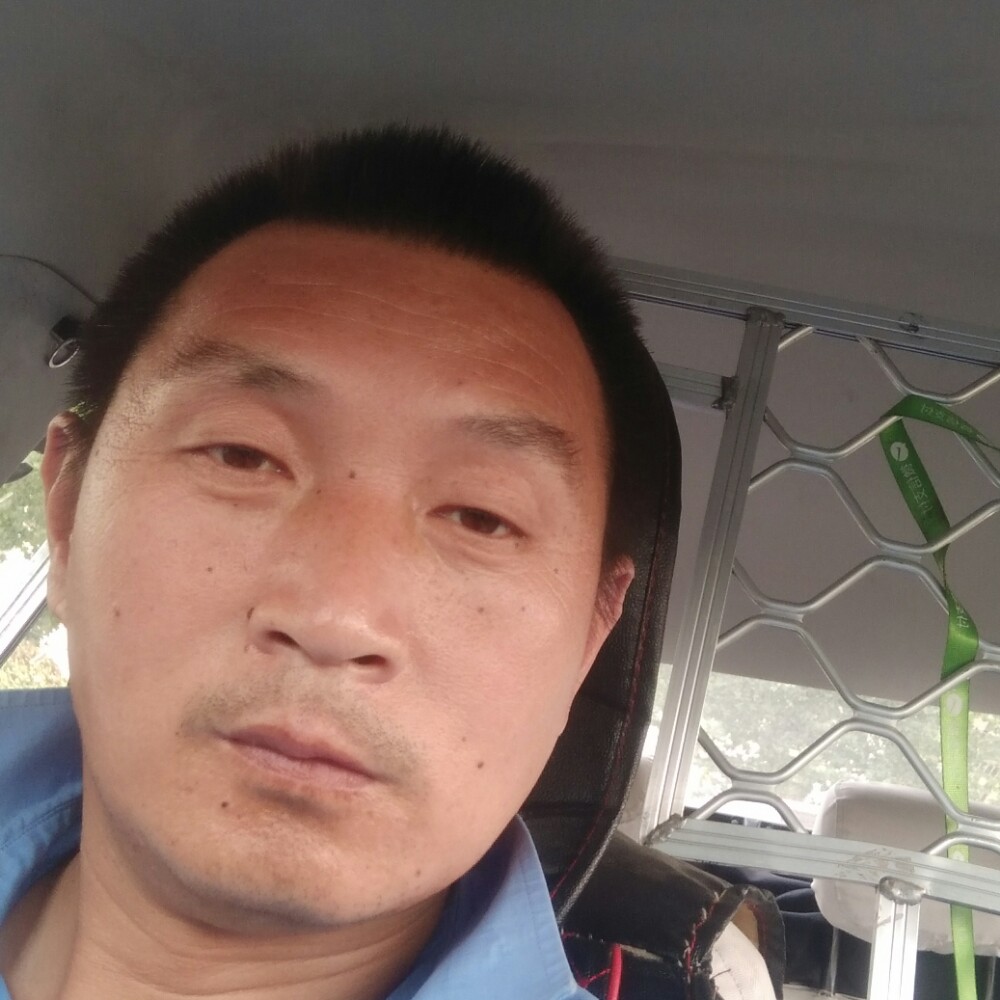 冷月与潇洒的照片