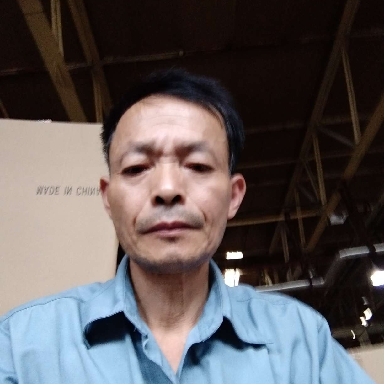 半夏和风中的照片