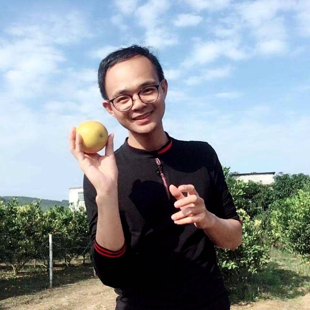 火星上倾心枕头的照片