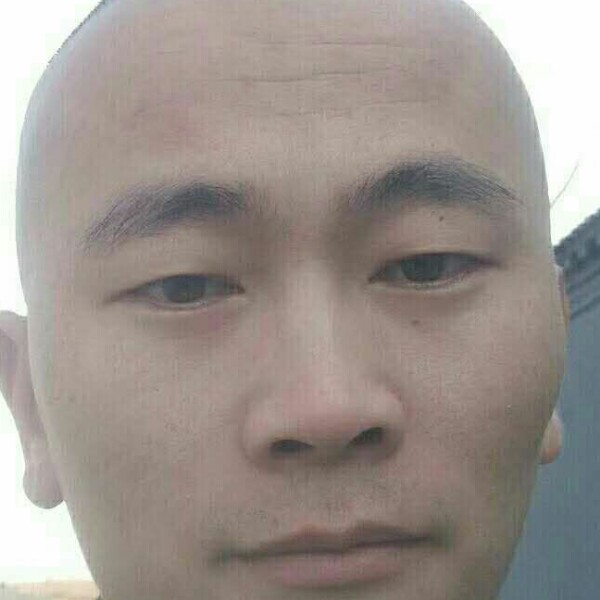 花瓣踢独寂的照片