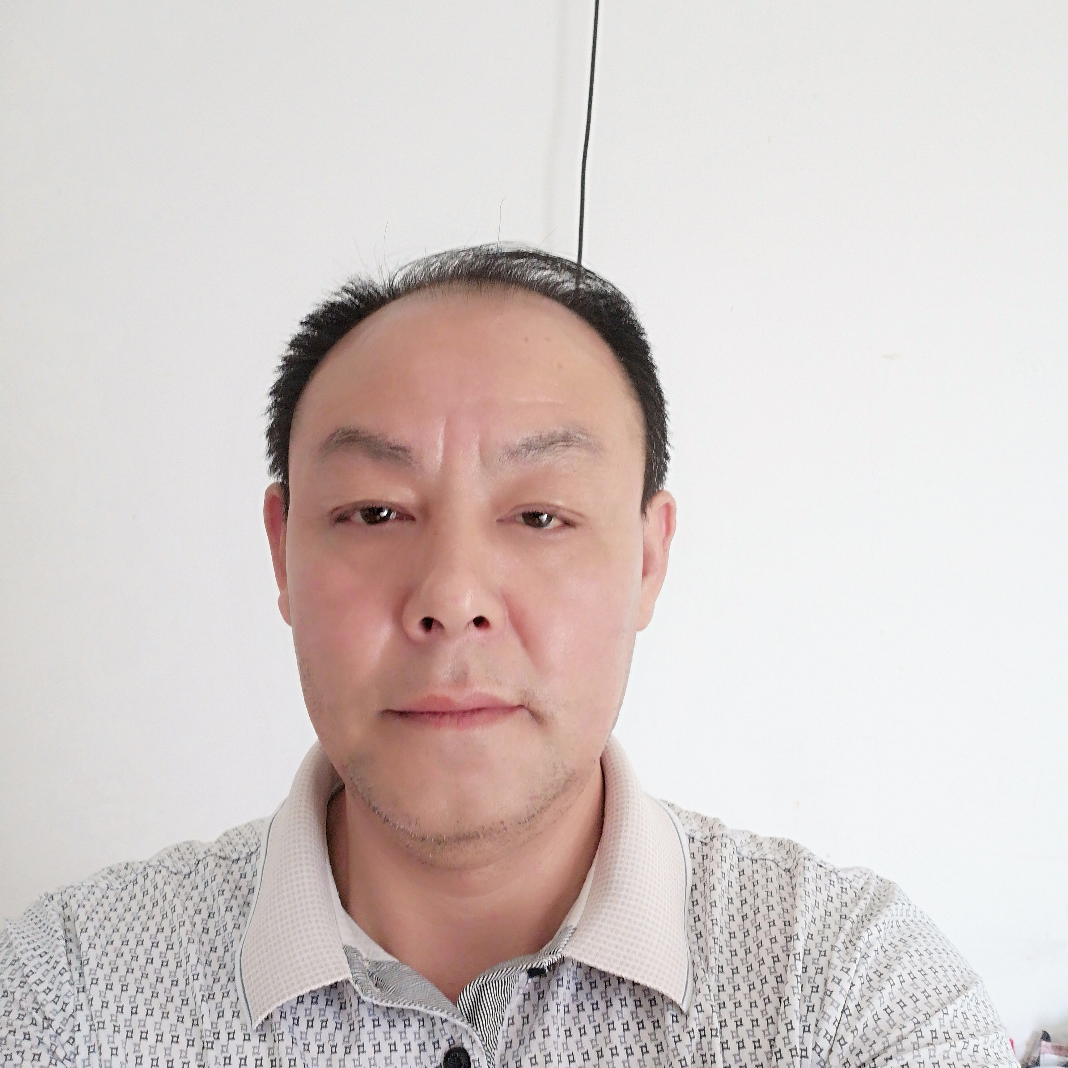 犀牛浅吻光亮的照片