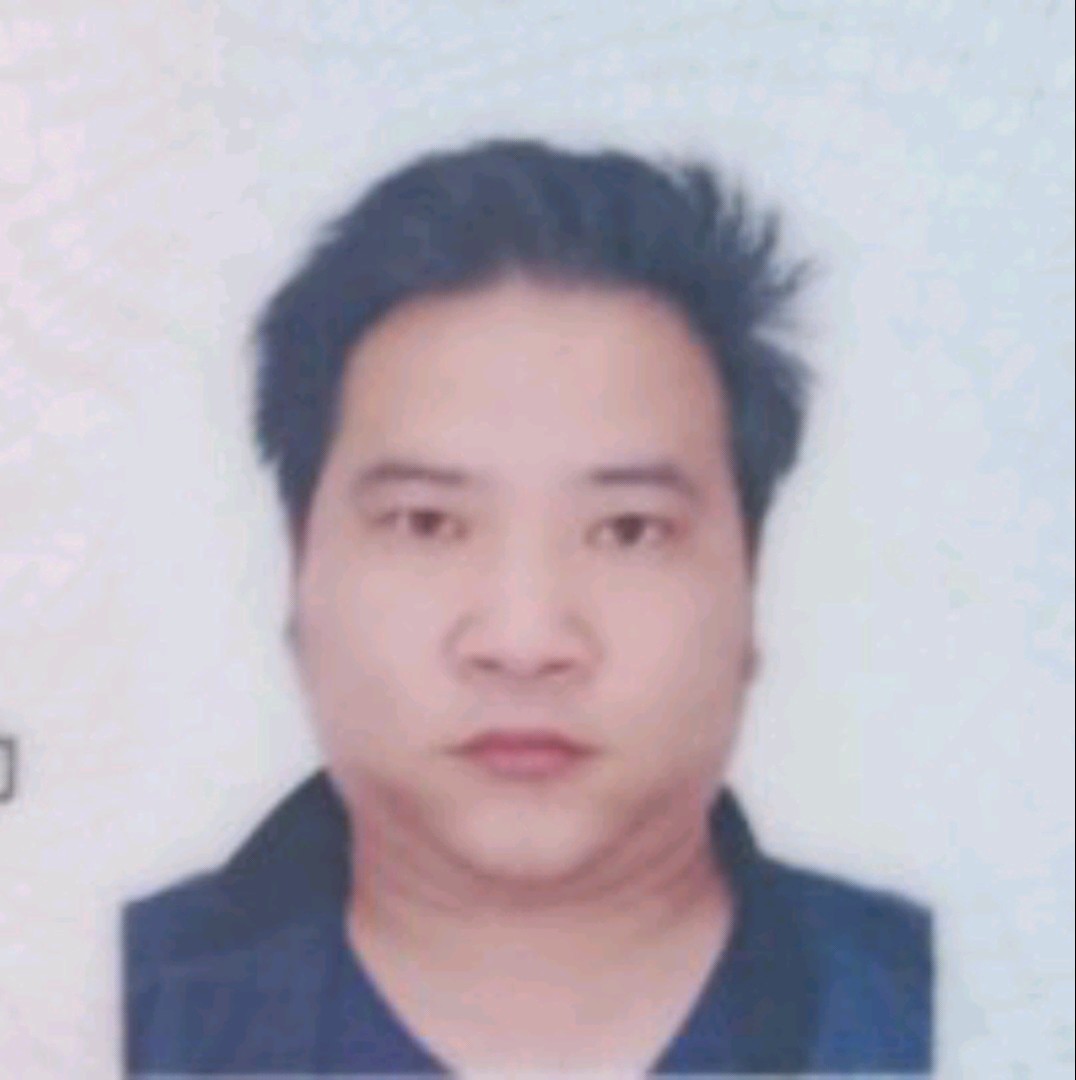 自然闻大树的照片