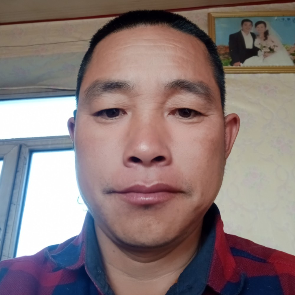 过江龙多情客的照片