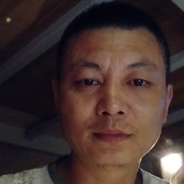 灰狼隐形的照片