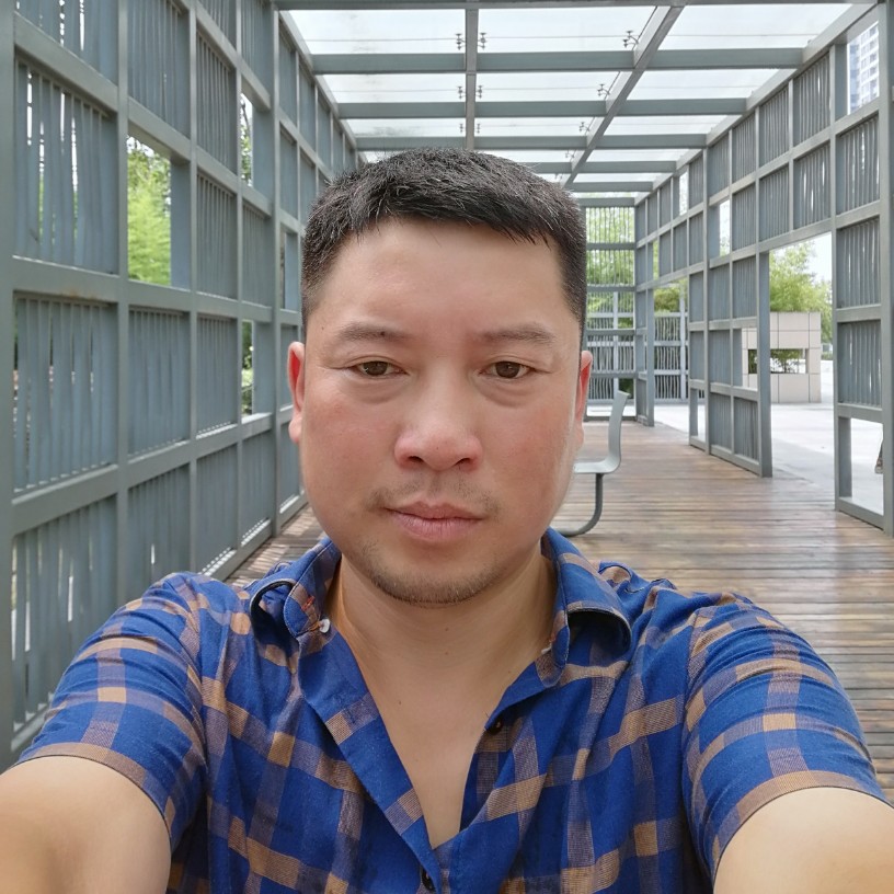 刺猬谦让的照片