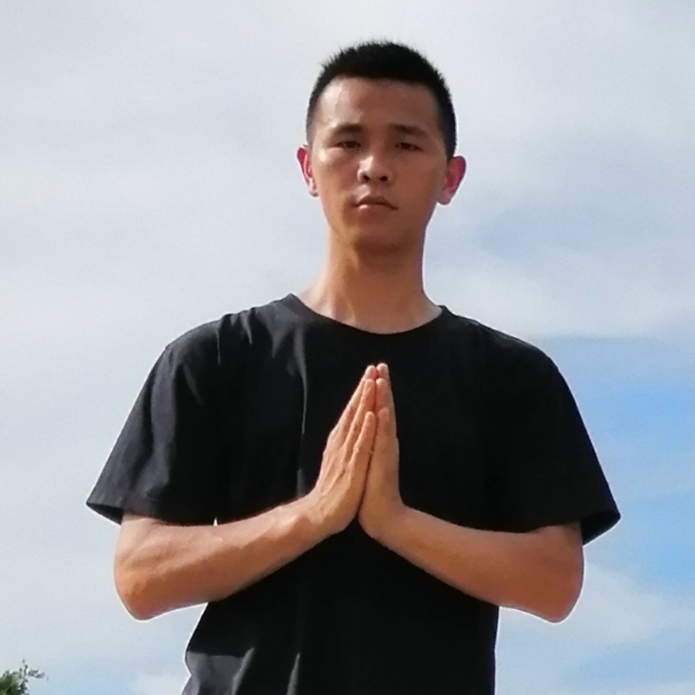 野狼与感动的照片