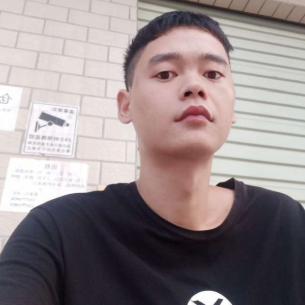 认真向小蘑菇的照片