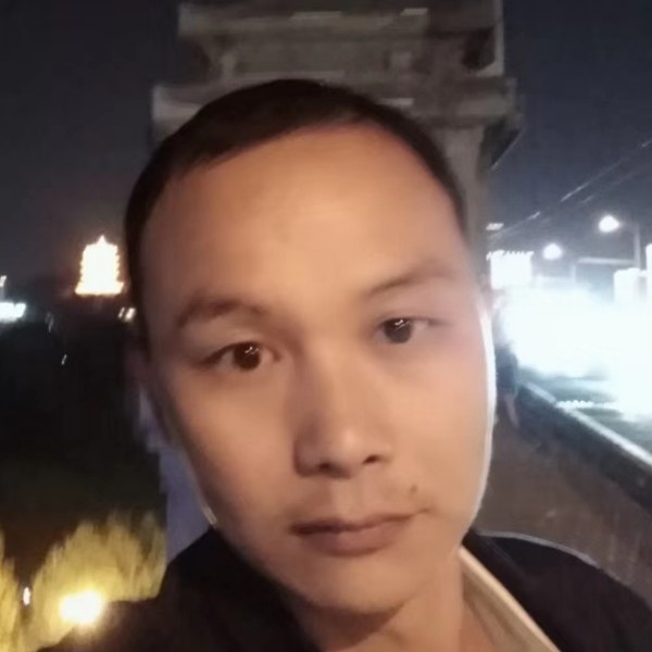 可靠斑马的照片