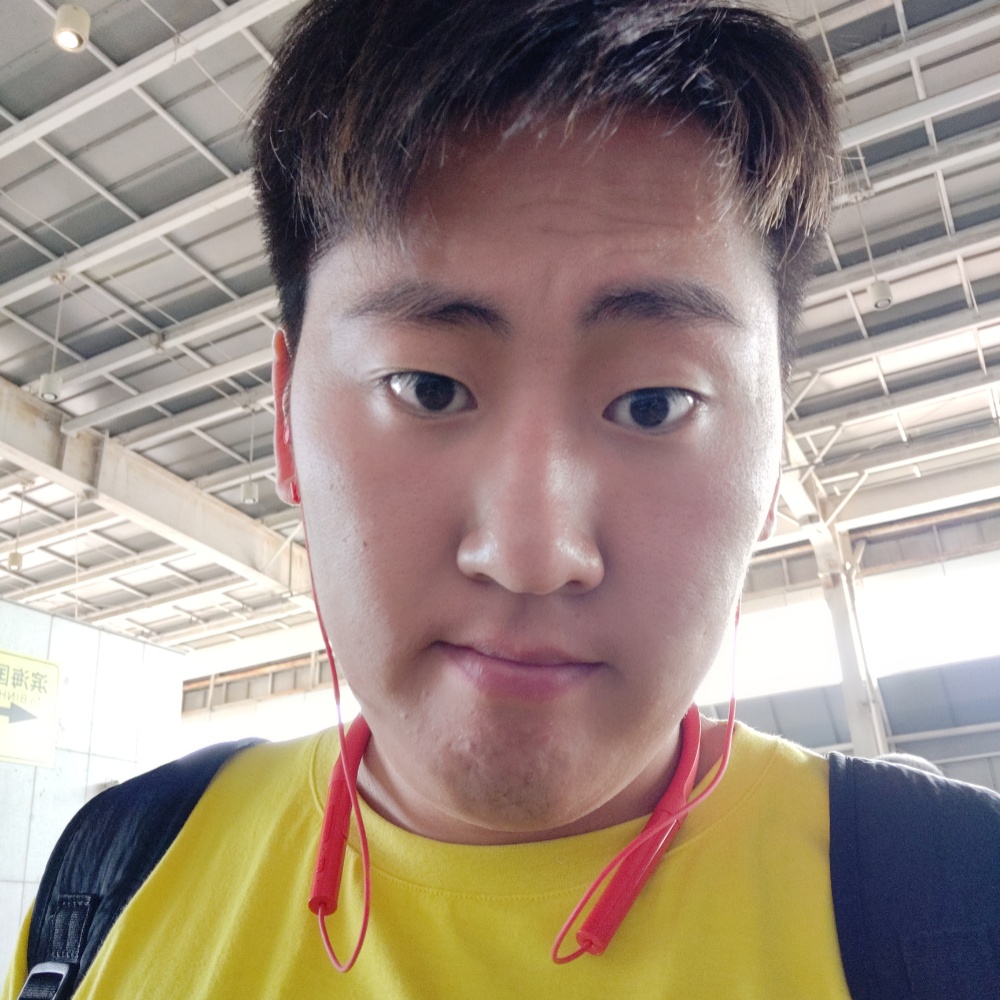 老实蹁跹小刺猬的照片